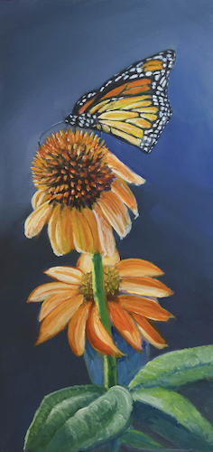 Cone Flower Visitor 10x5 $395 at Hunter Wolff Gallery